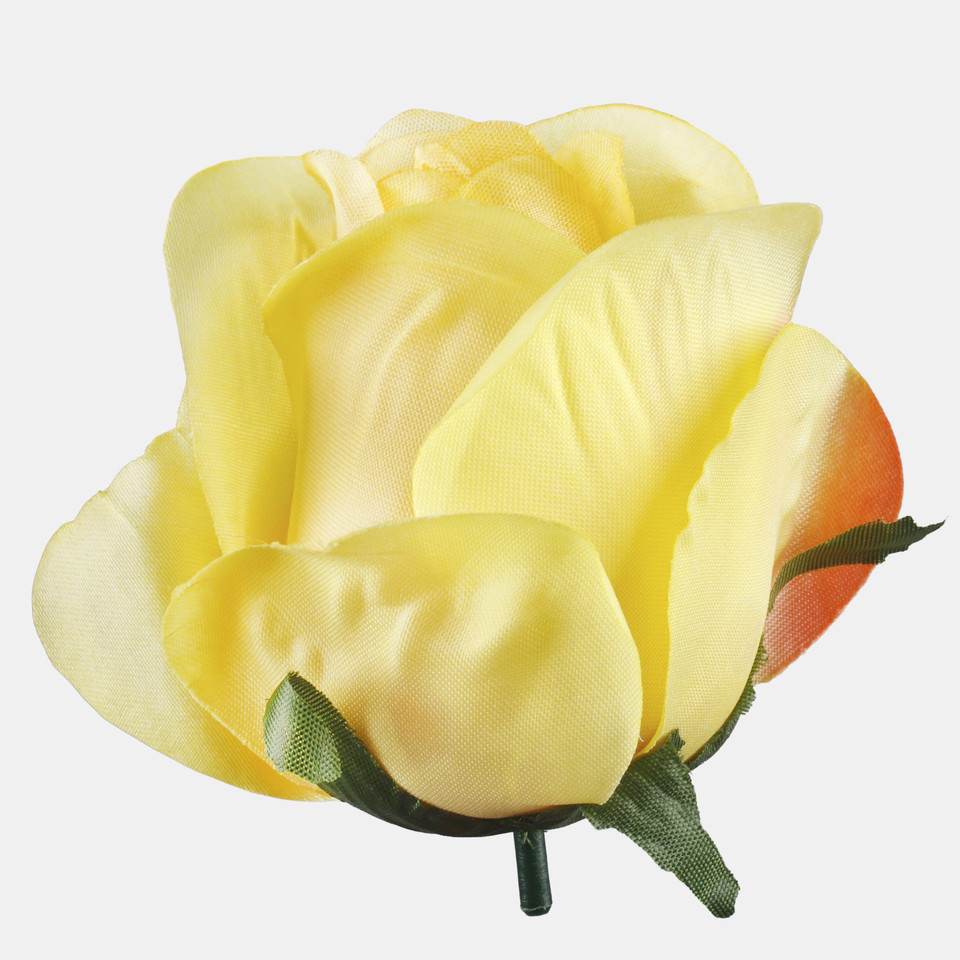 Róża w pąku, T.T. Yellow W733-04