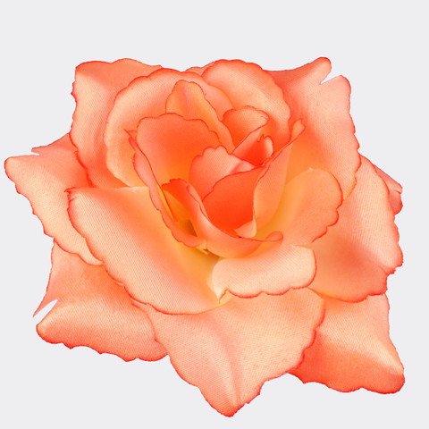 Rose, Orange W529-09