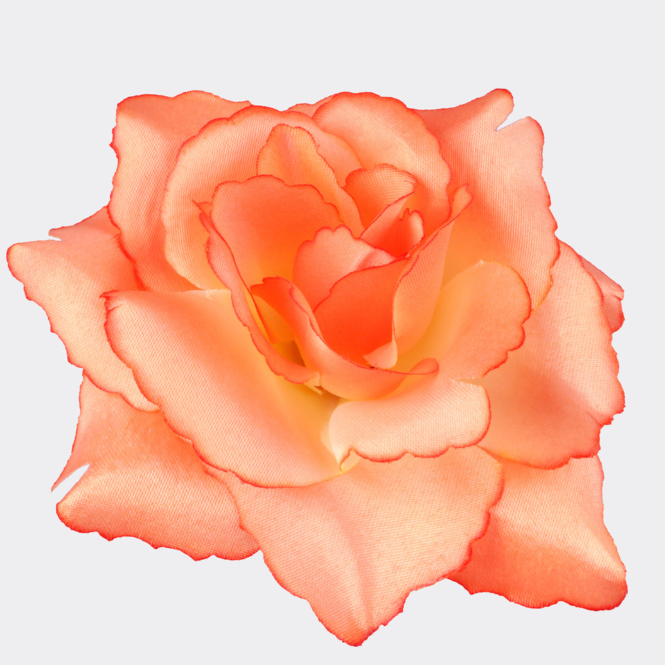 Róża, Orange W529-09