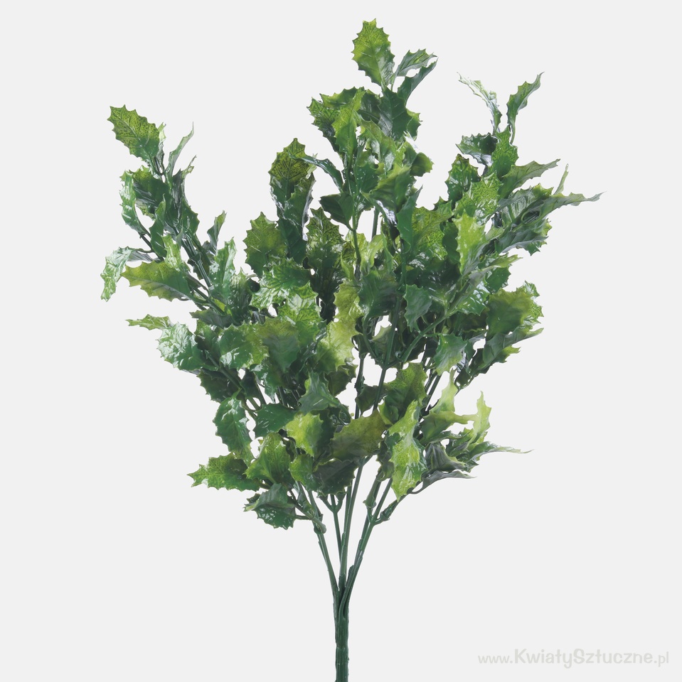 Holly x 7, Green A604-03