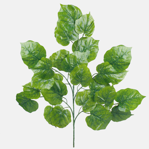 Linden, Lt. Green F033-06