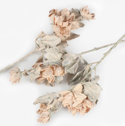 Dalia gałązka pojedyncza, Beige L864-01