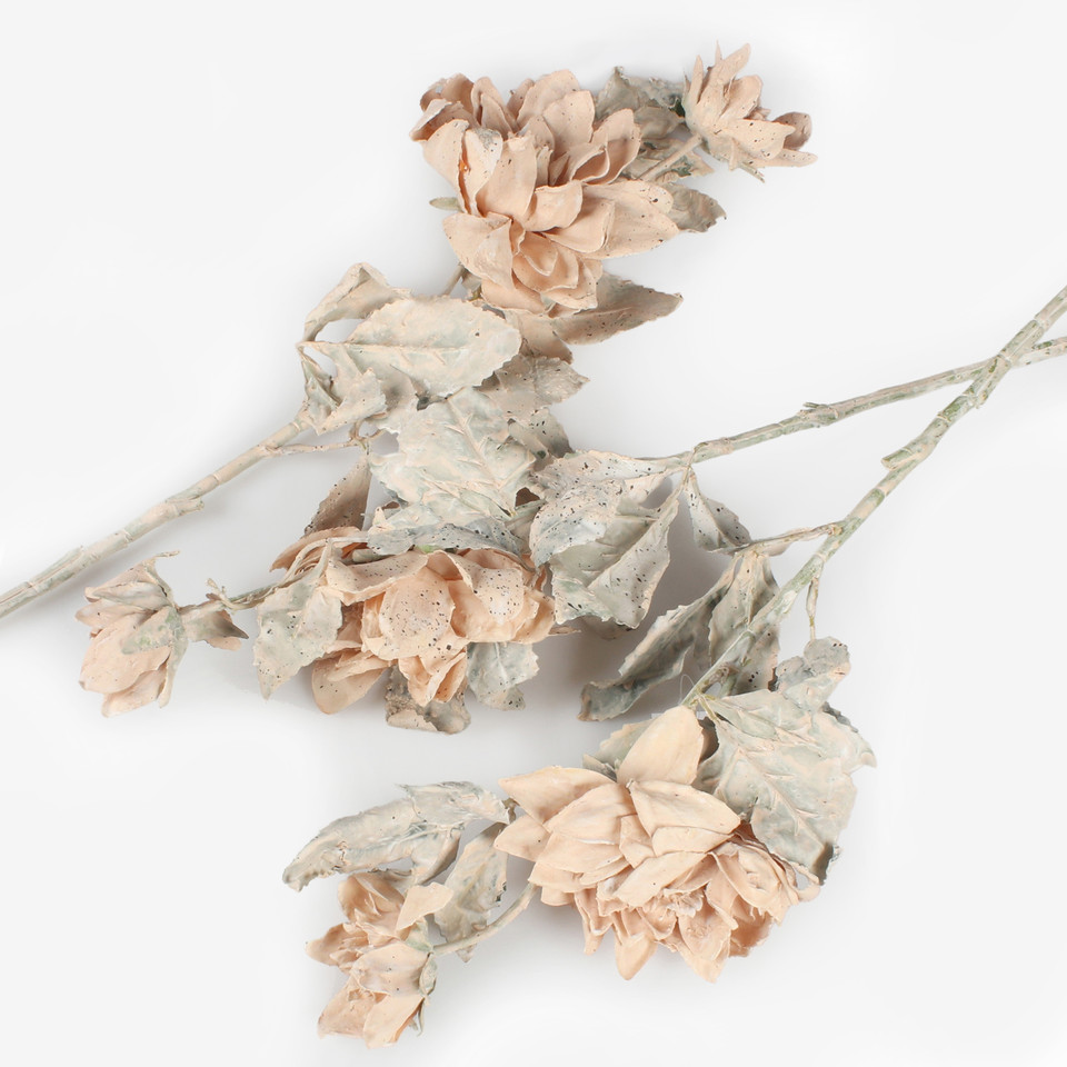 Dalia gałązka pojedyncza, Beige L864-01