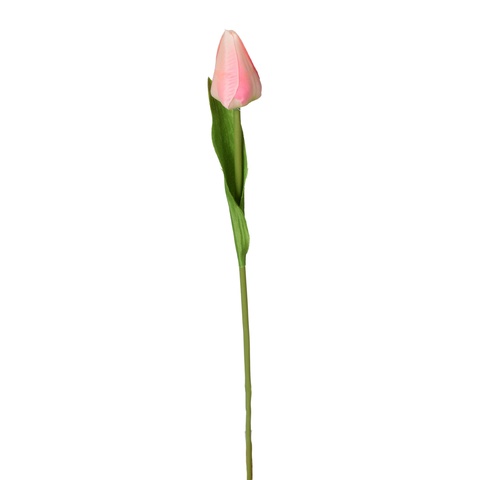 Tulipan - gałązka 44 cm, m K375-m