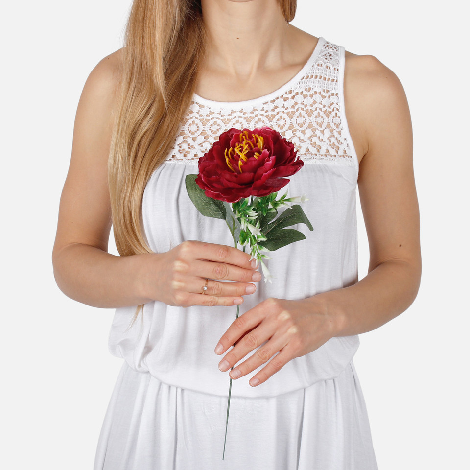 Peonia, Burgundy/Lt. Burgundy Edge G437-03