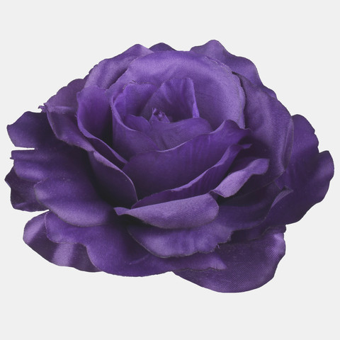 Róża, Dk. Violet W729-14