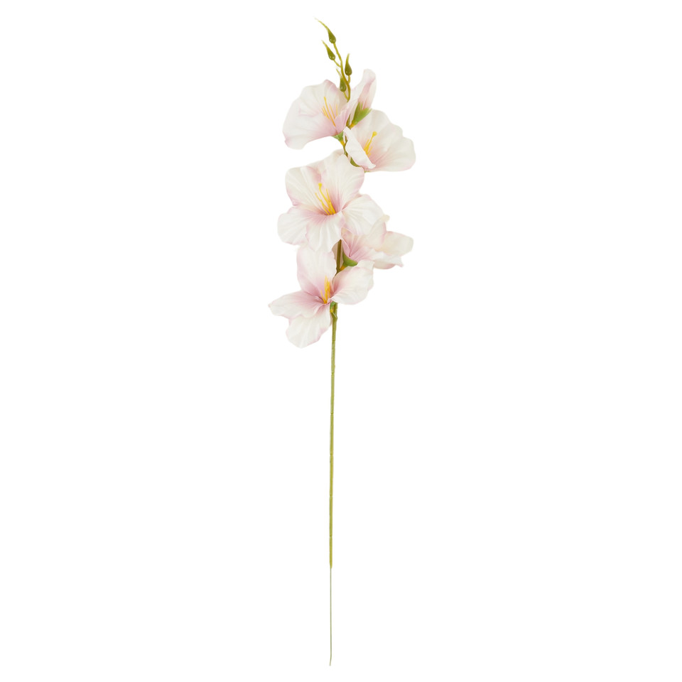Mieczyk - gałązka 56 cm, 18 cream pink AL180-17