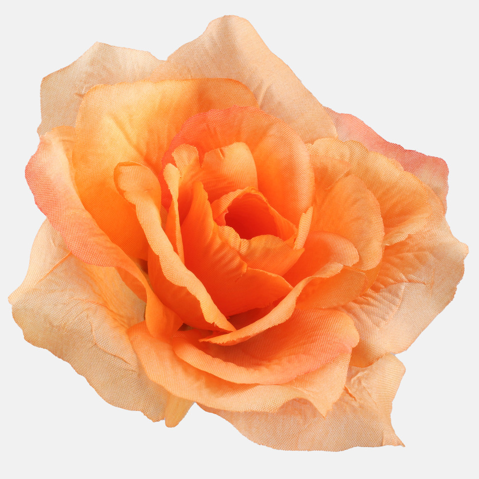 Róża francuska, Lt. Orange W087-46