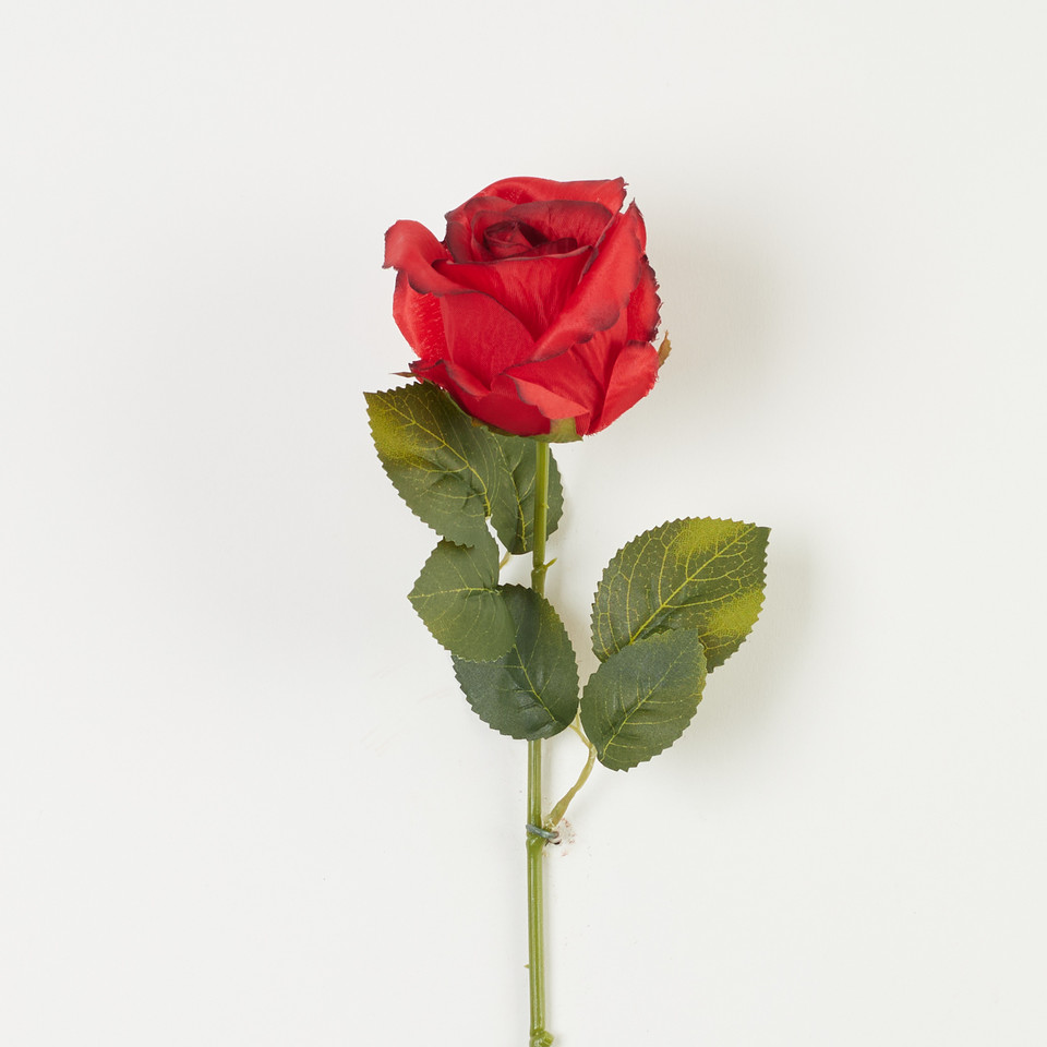 Róża – gałązka, red w/black B08-177