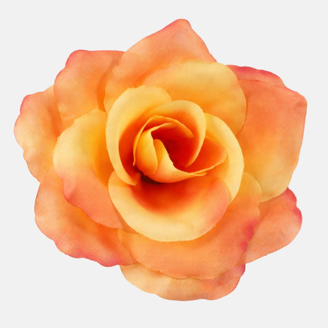 Rose, Coral/Yellow W751-09
