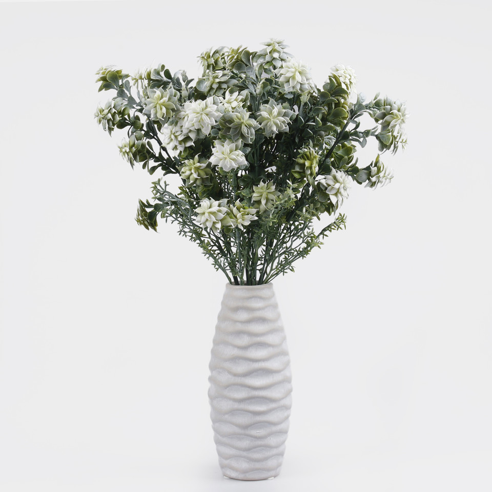 Spurge, Mix 1 A788-04