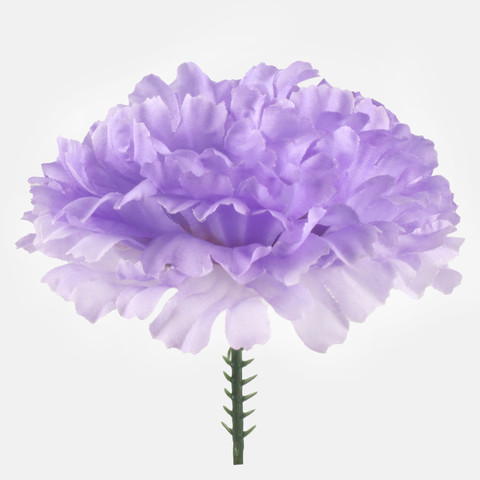 Carnation on the peak, Lt. Lilac W721-06