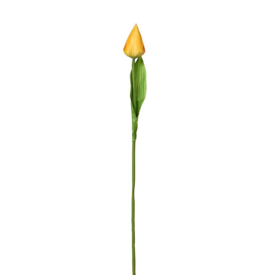 Tulipan - gałązka 44 cm, m K375-m