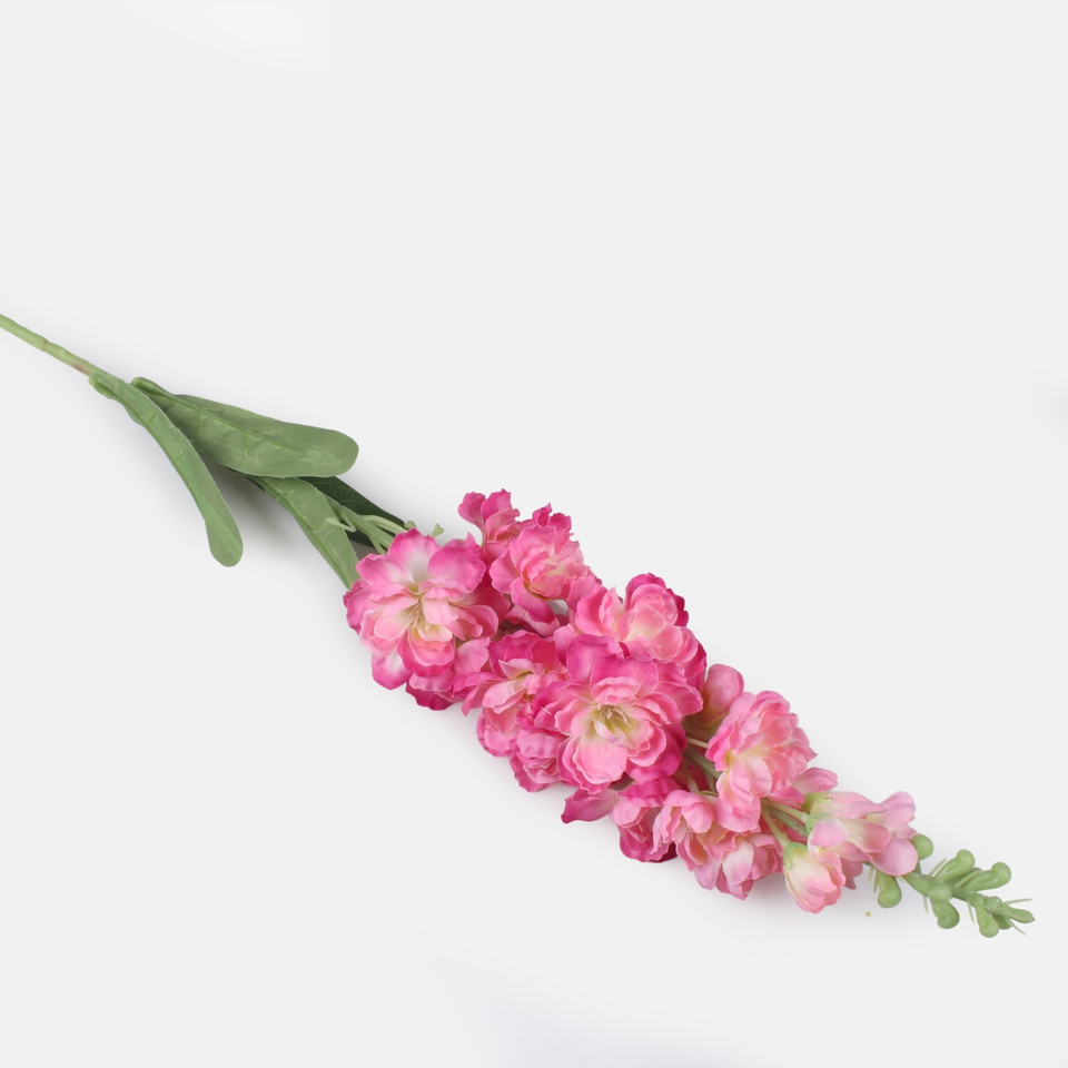 Delphinium, Pink L019-07