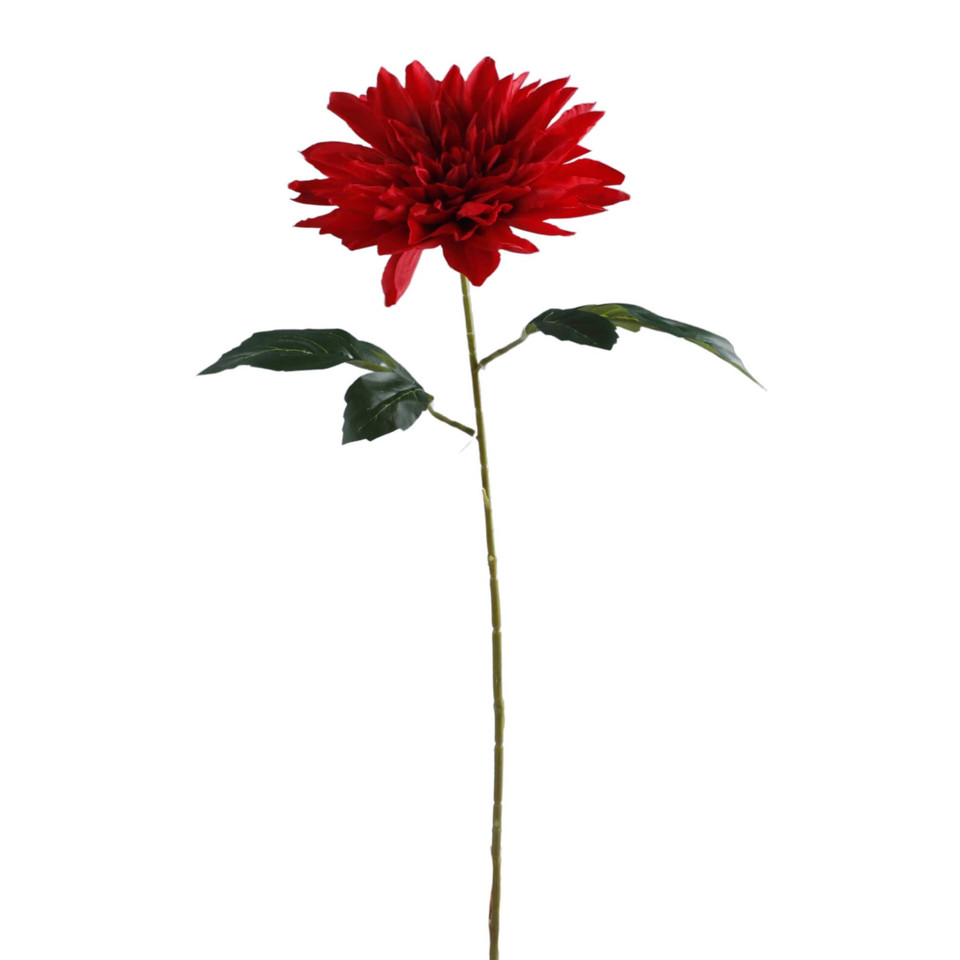 Dalia, Red K657-05