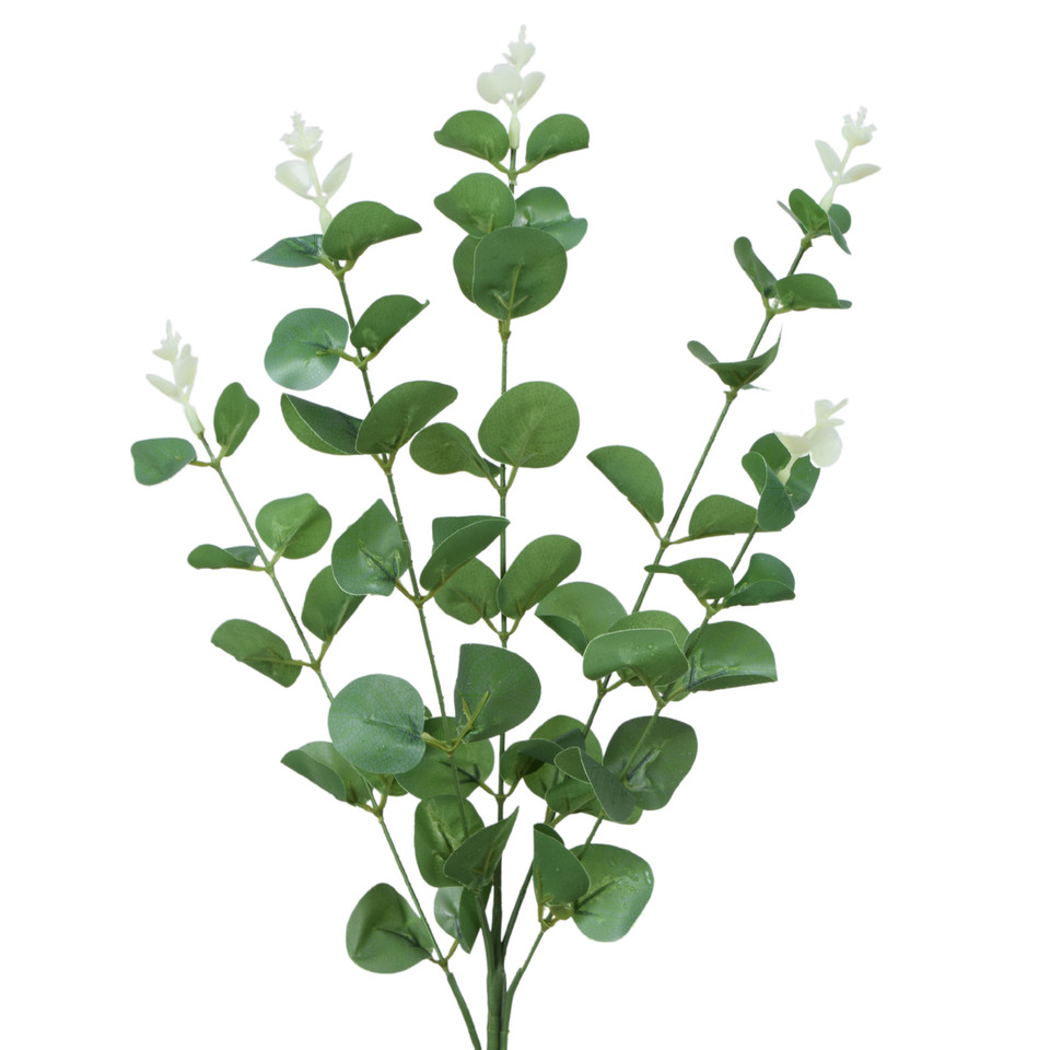 Eukaliptus - gałązka 62 cm, cream/green R667-00