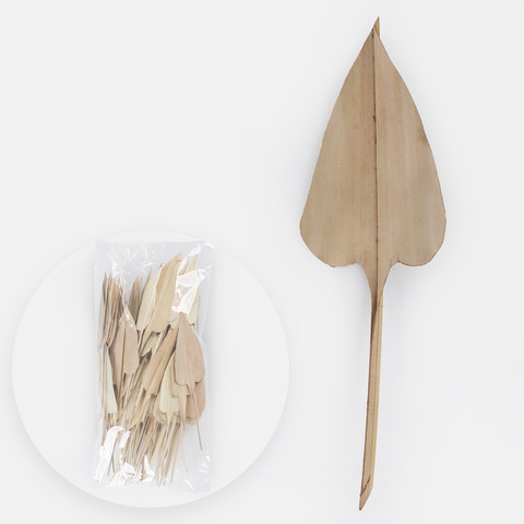 Palm Arrov leaves x 100 pcs Y644