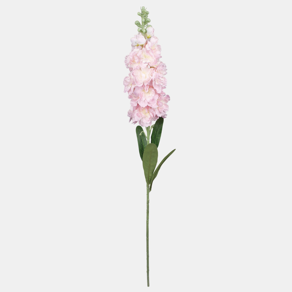 Delphinium, Lt. Pink L019-02