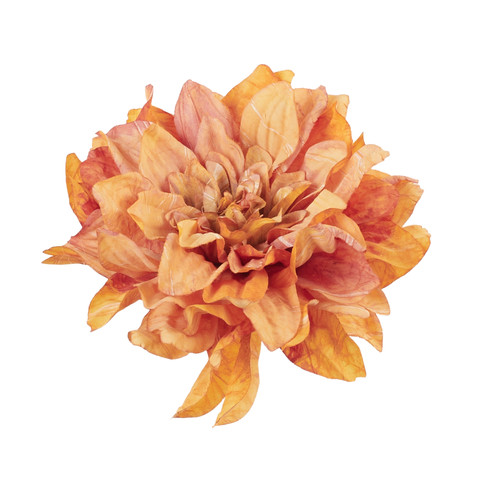 Dahlia, 12 autumn orange B134-12