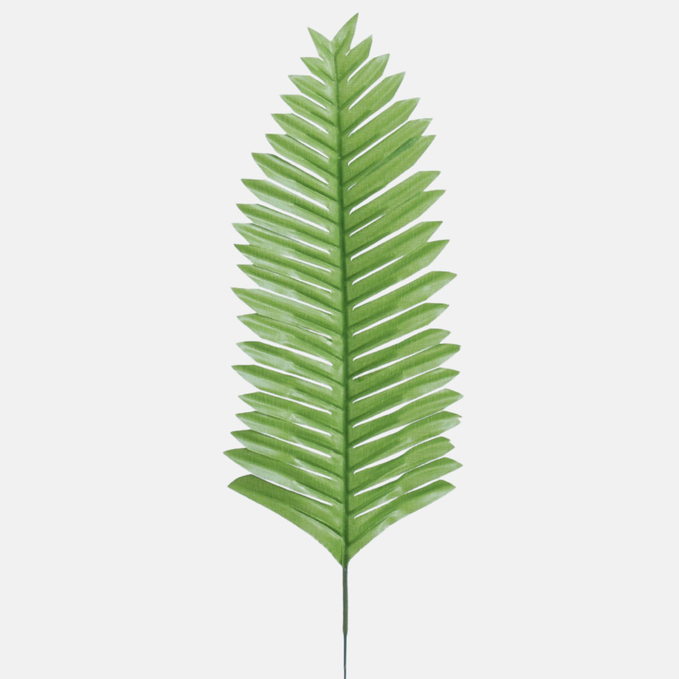 Fern leaf, Green H023A-01