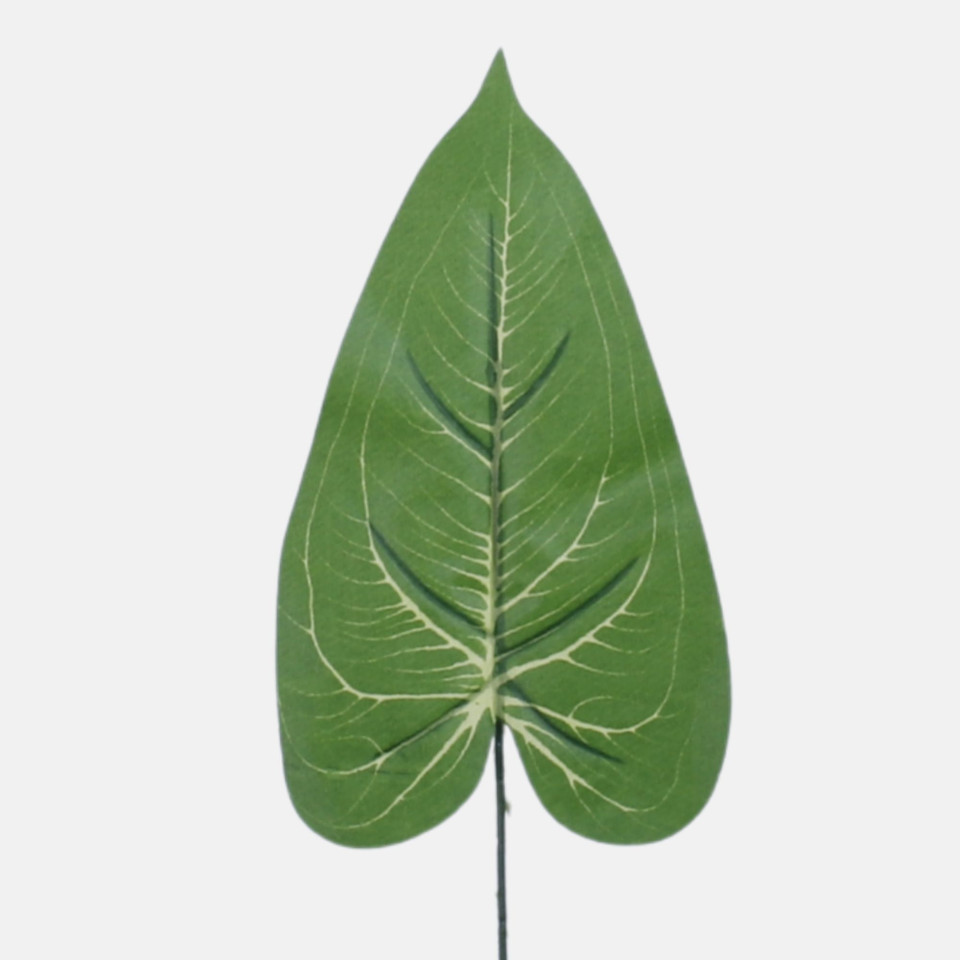 Liść pothosu, Green H020A-01
