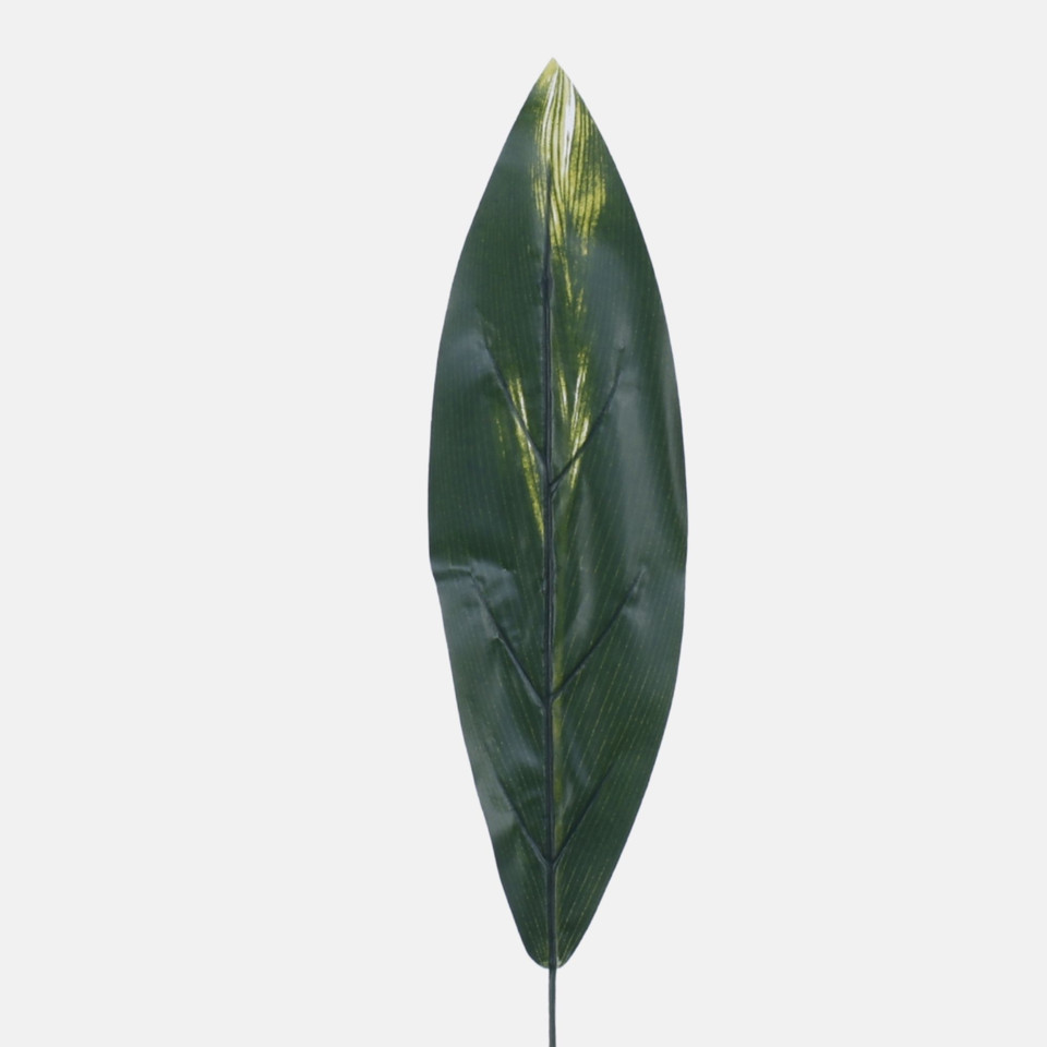 Liść draceny gumowany, Green H008B-01