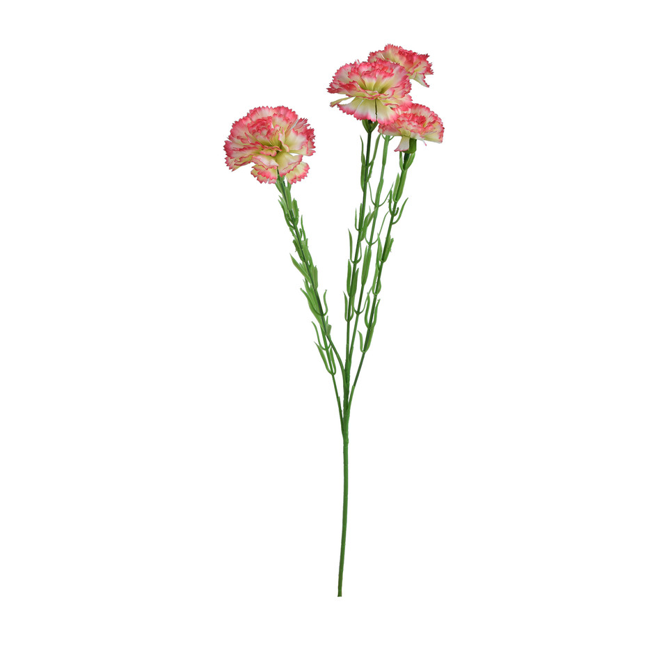 Goździk - gałązka 60 cm, m3 GK139-m3