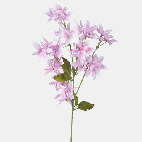 Orchid, White/Pink/Lilac centre L769-04