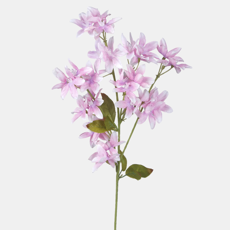 Storczyk, White/Pink/Lilac centre L769-04