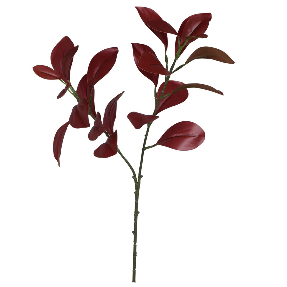 Fikus- gałązka liściasta 59 cm, BURGUNDY R253-02