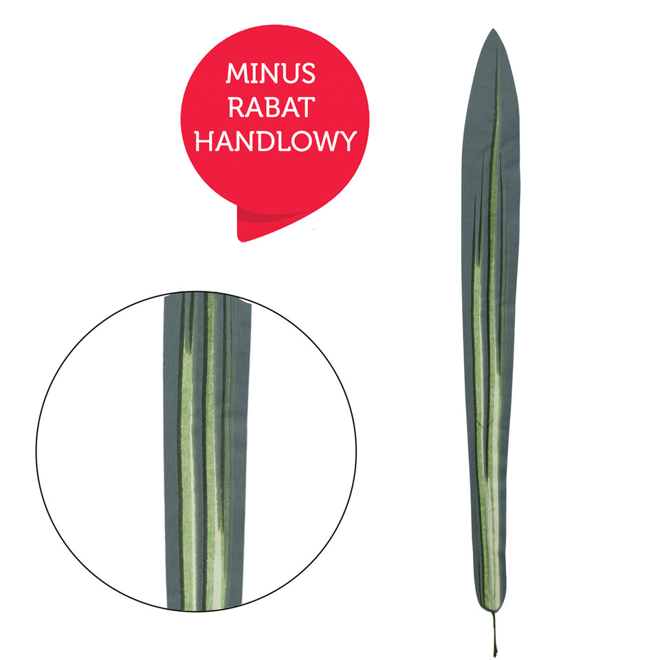 Dracena - liść 65 cm L606-00