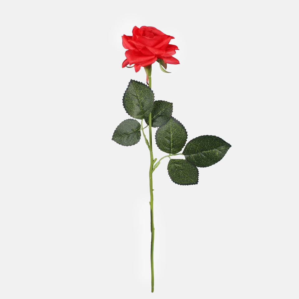 Rose, Red G397-02