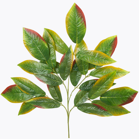 Mango, Green w/Red Edge F034-02