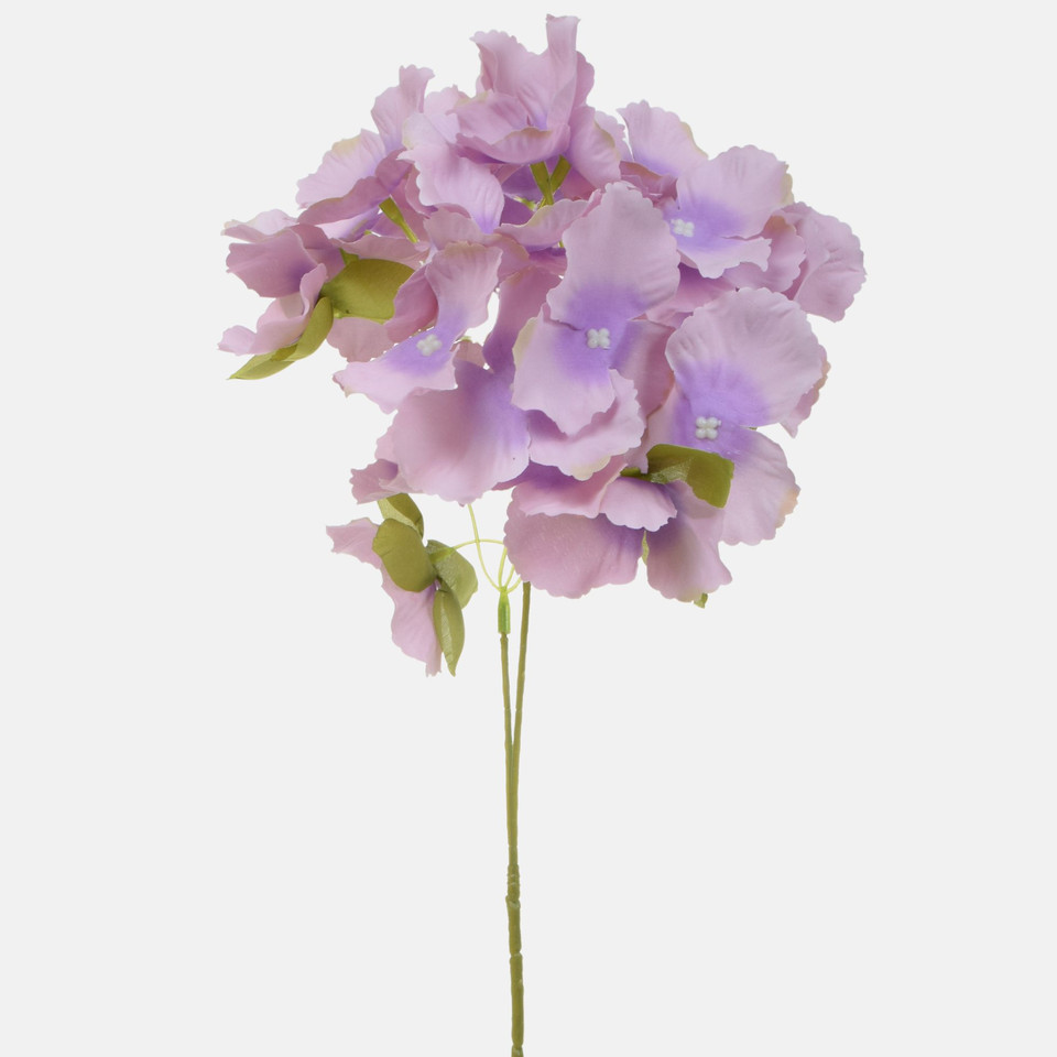 Hortensja, Lt. lavender BK320-05