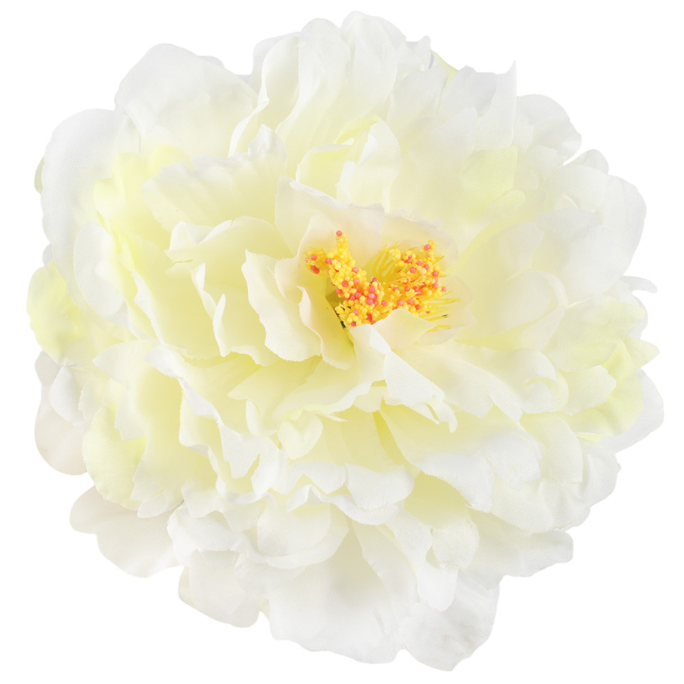 Peony, Cream W615-03