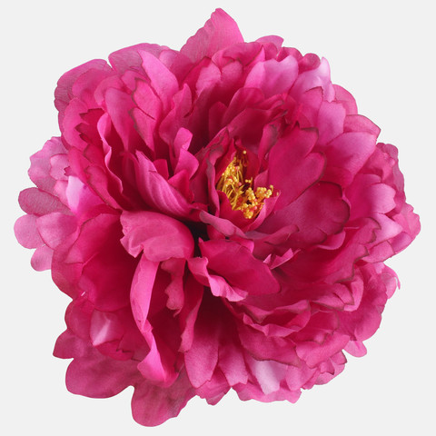 Peony W615