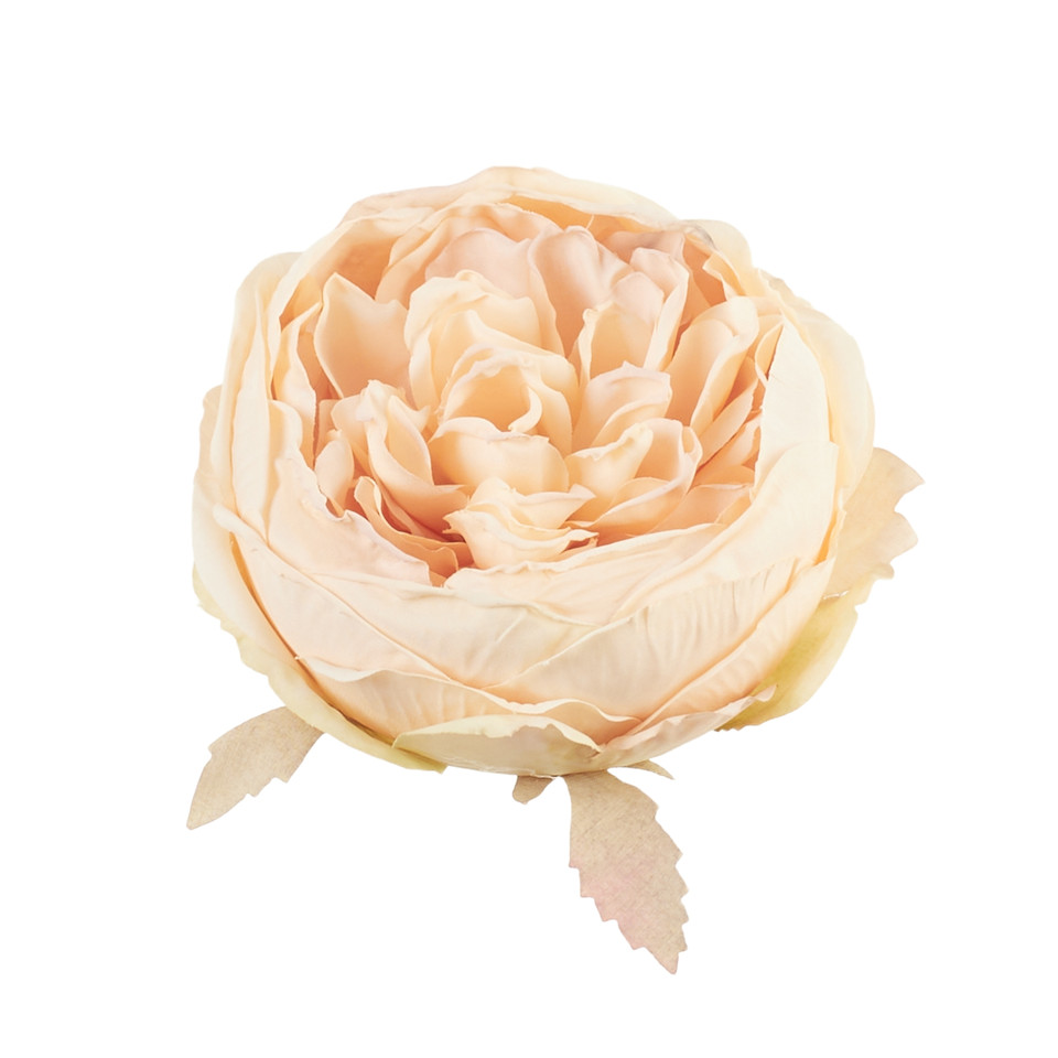 Peonia - główka, 02 peach B137-02