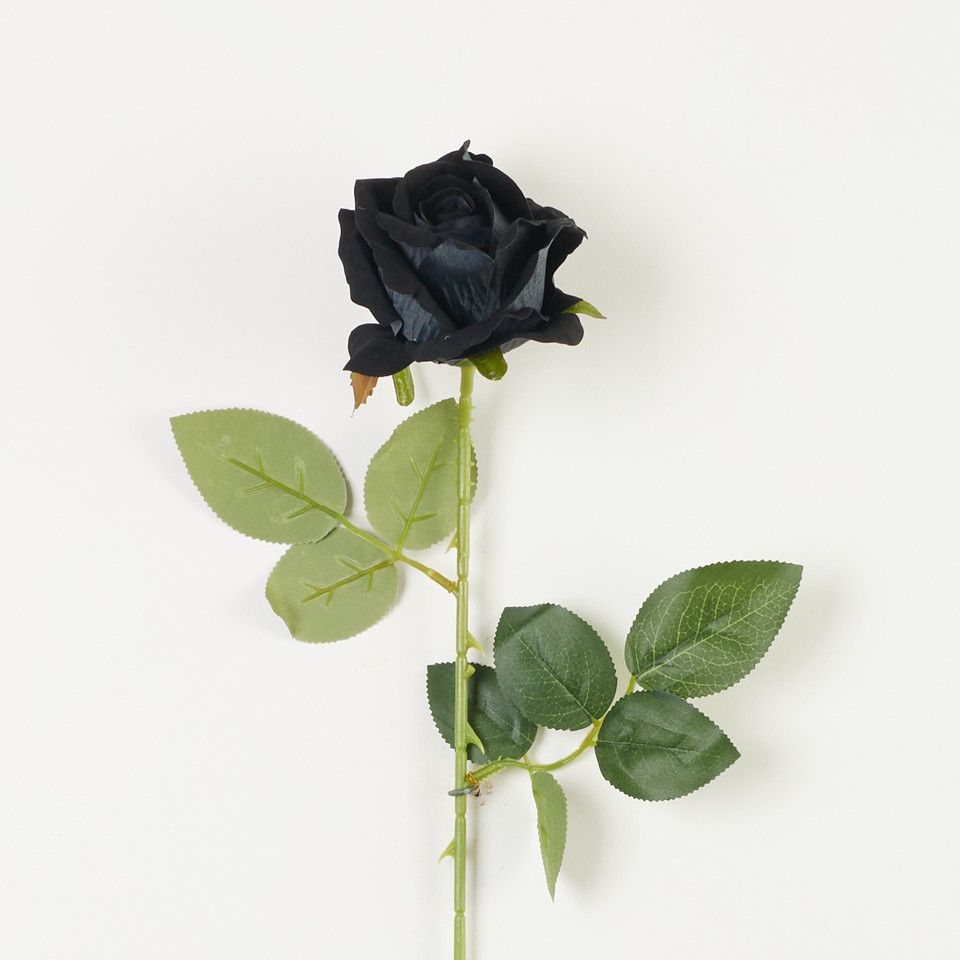 Róża welur – gałązka, black B65-06