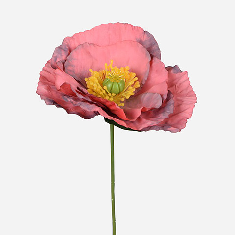Poppy, Red L919-04