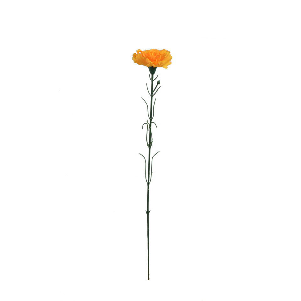 Goździk - gałązka 54 cm, m2 GK148-m2