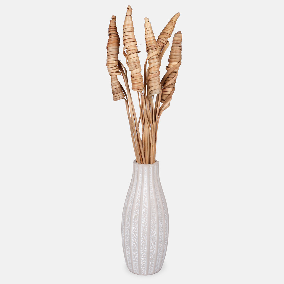 Cane cone Y031