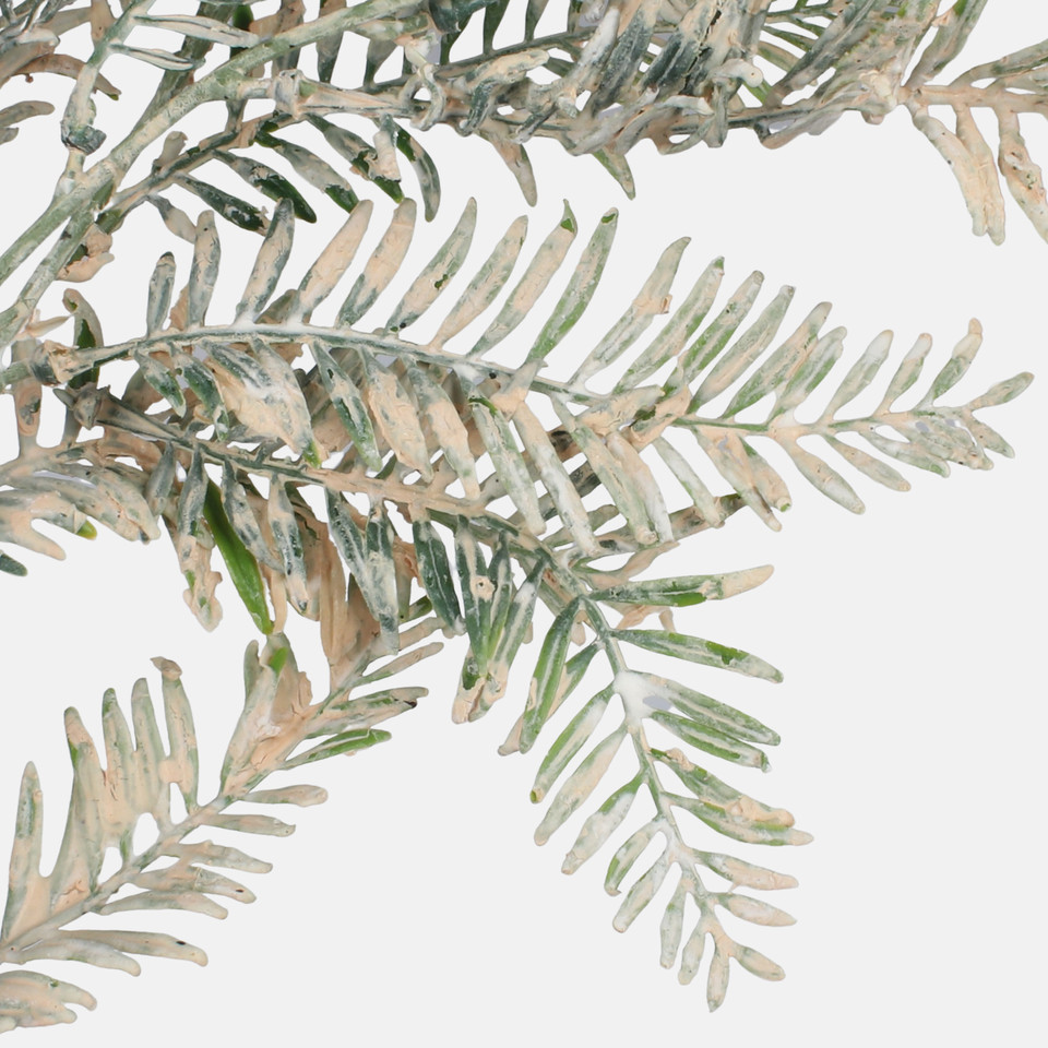 Cis, Beige/Lt. Green F157-01