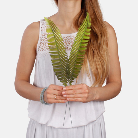 Fern A664 (Product size)