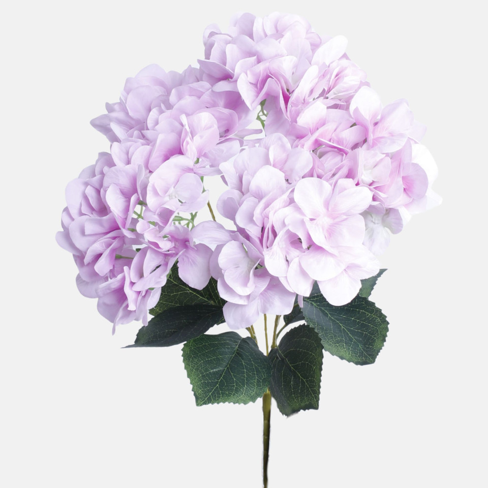 Hortensja, Lt. Lavender BU371-09