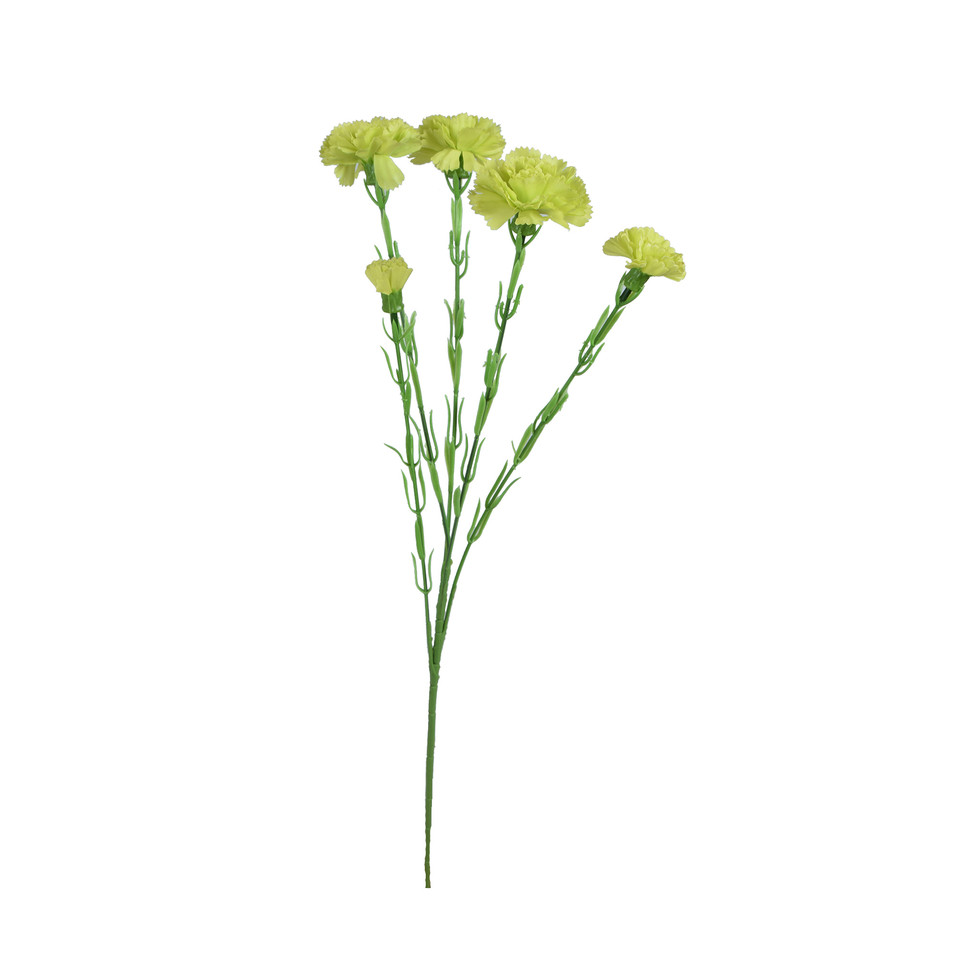 Goździk - gałązka 60 cm, m3 GK139-m3