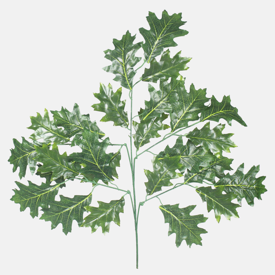 Oak, Green F175-01