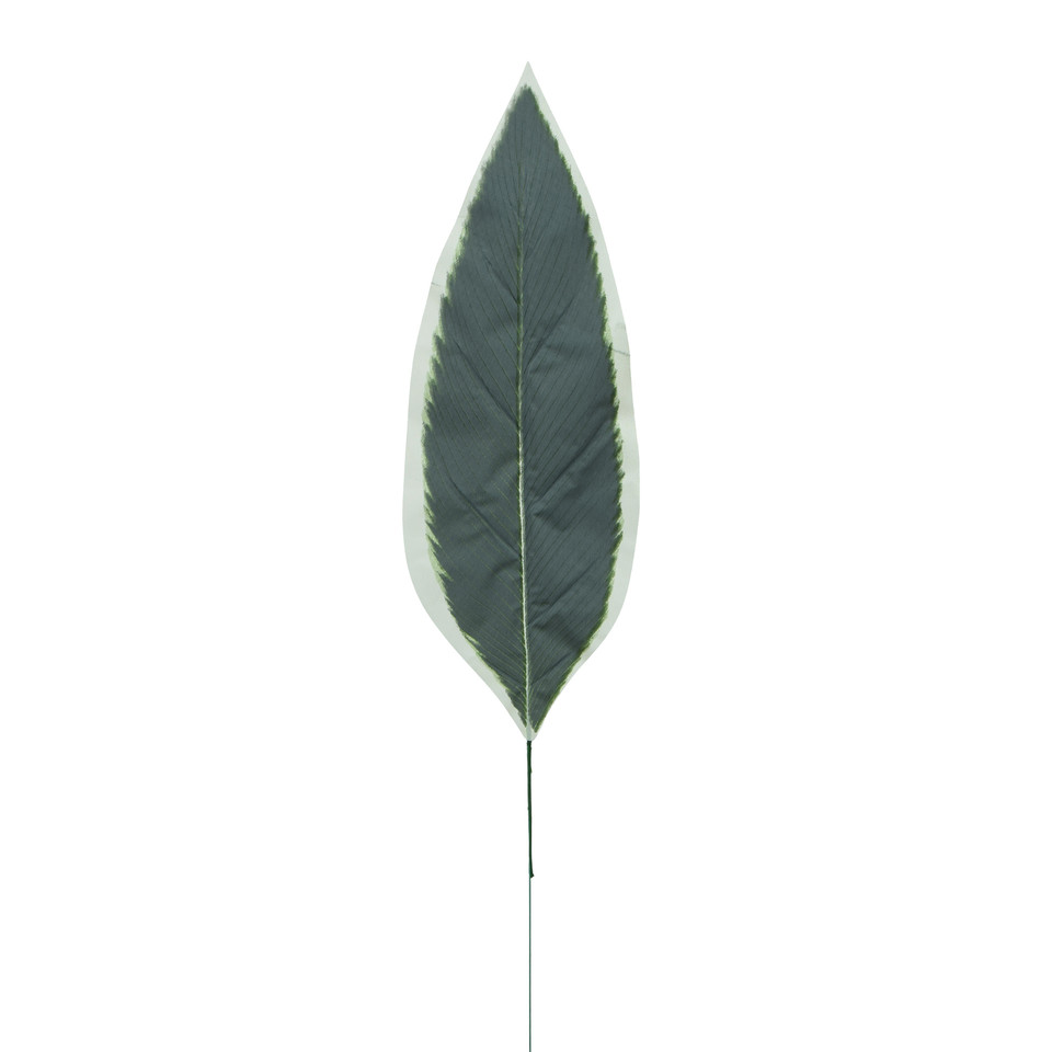 Dracena - Liść 65 cm L516-00