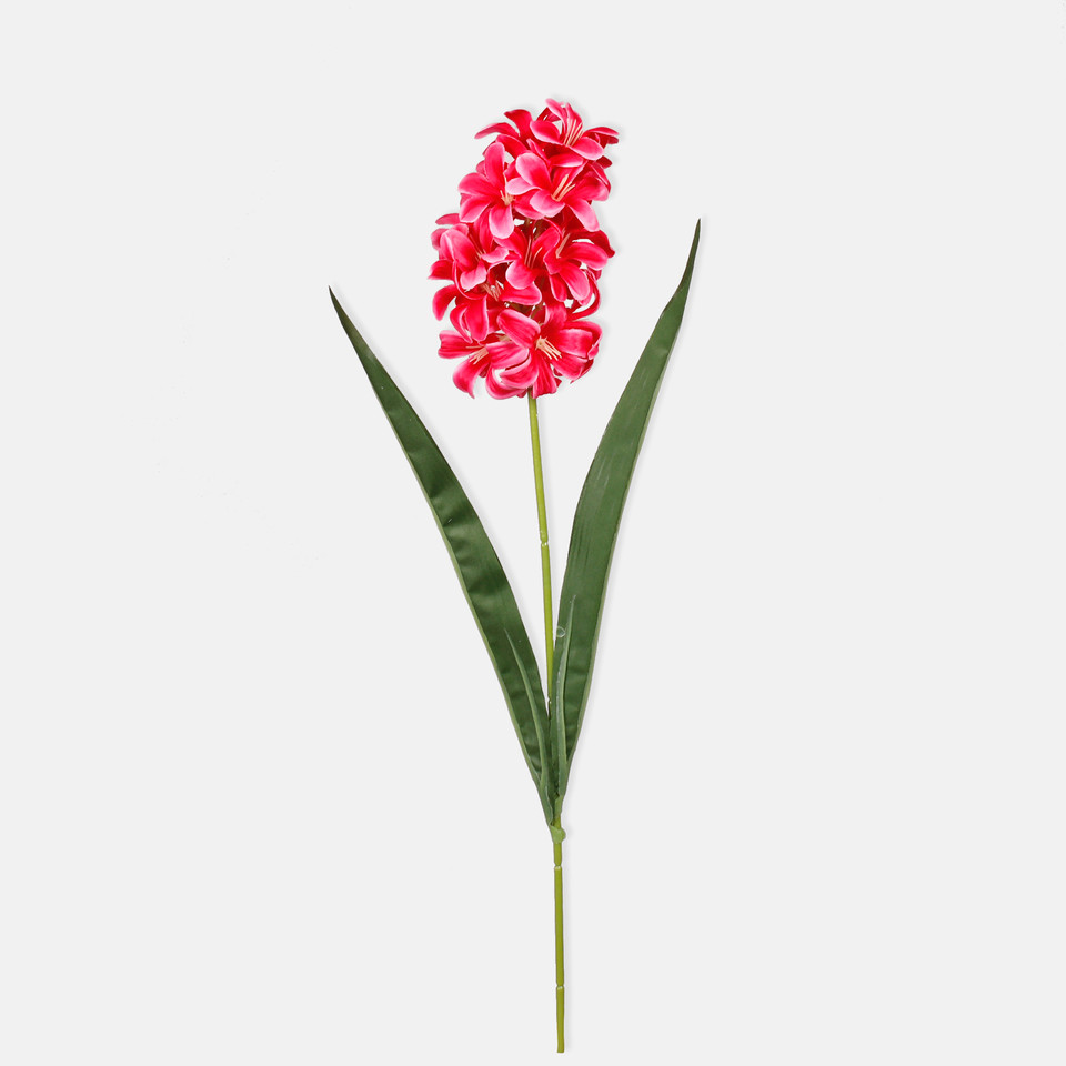 Hiacynt, Dk. Pink G452-05