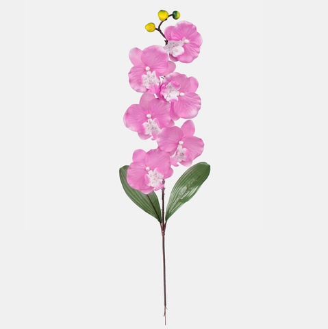 Orchid, Lavender L160-07