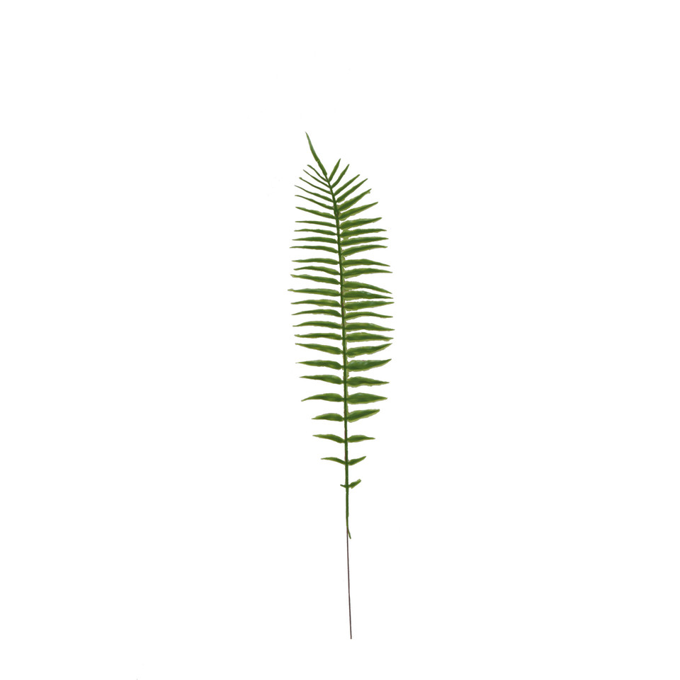Paproć - liść 52 cm, green L499-00